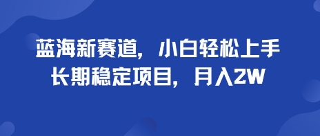 蓝海新赛道，小白轻松上手，长期稳定项目，月入2W，公众号【大创学社】